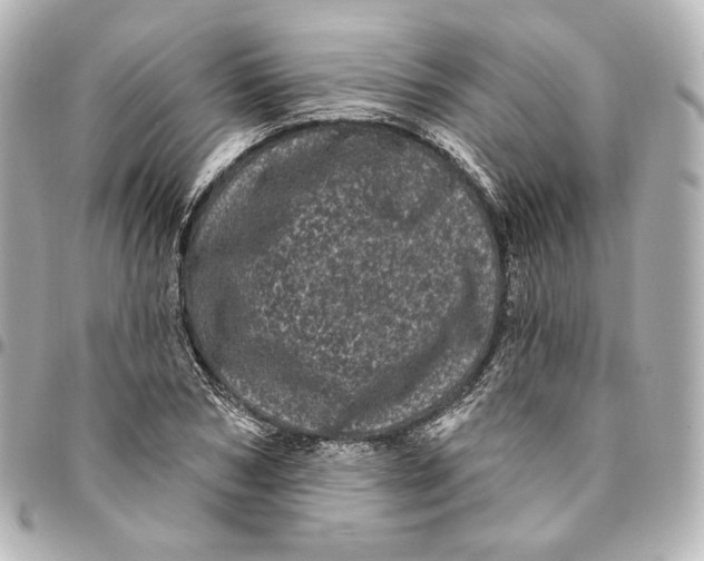 X0000094960978200712201157