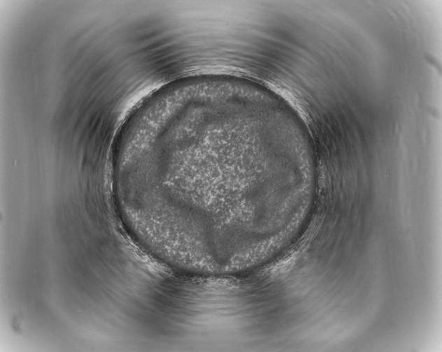 X0000094960979200712201157