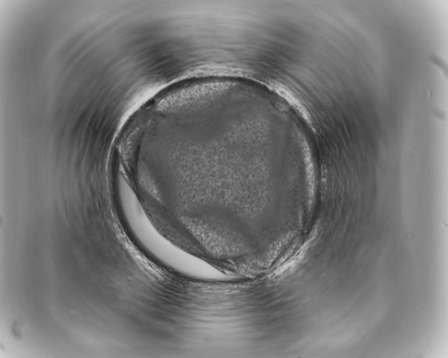 X0000094960981200712201157