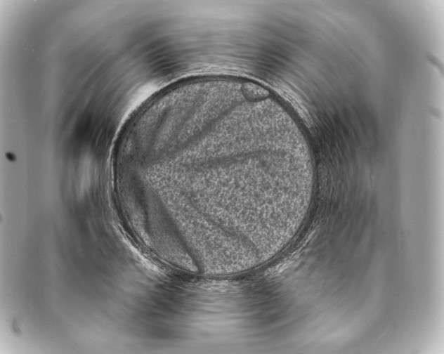 X0000094960982200712201157