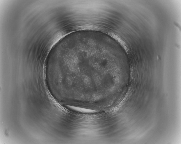 X0000094960983200712201157