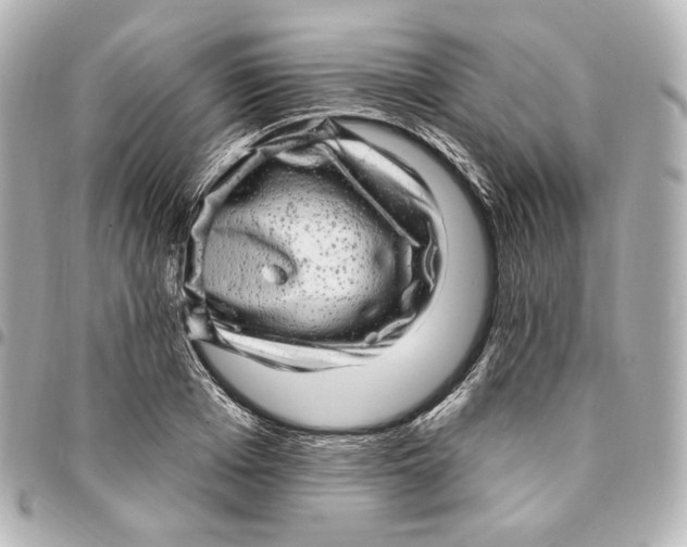 X0000094960985200712201156