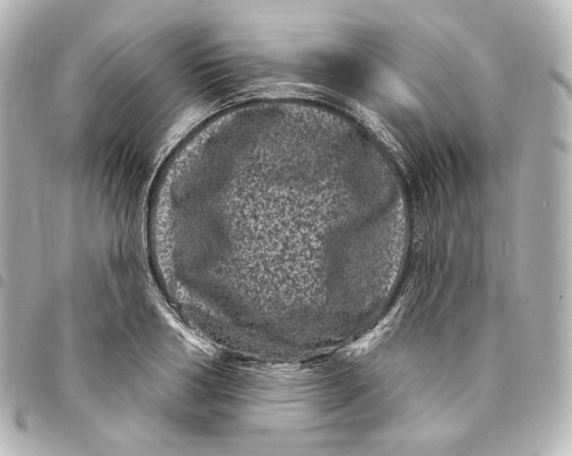 X0000094960986200712201156