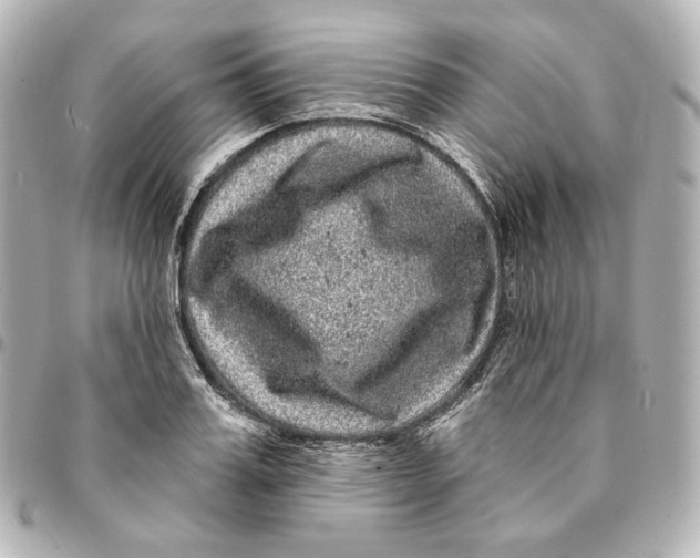 X0000094960987200712201156