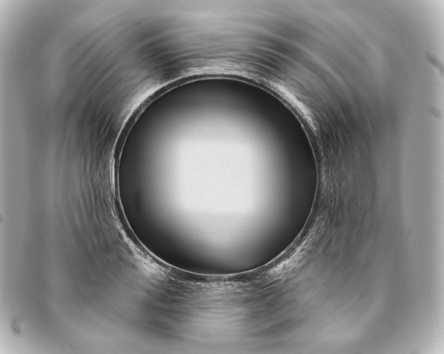 X0000094960988200712201156