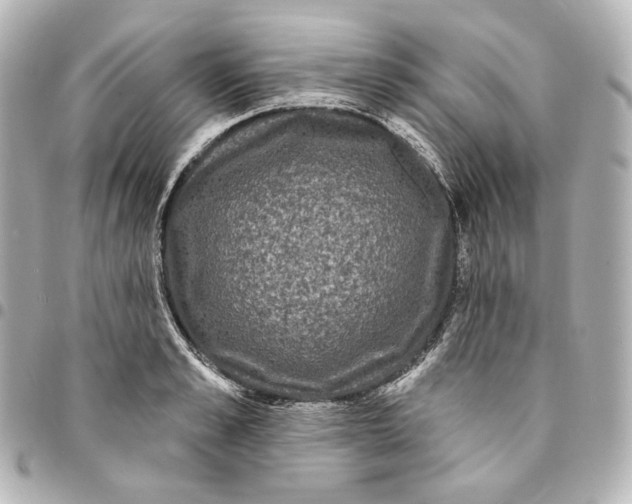 X0000094960989200712201156