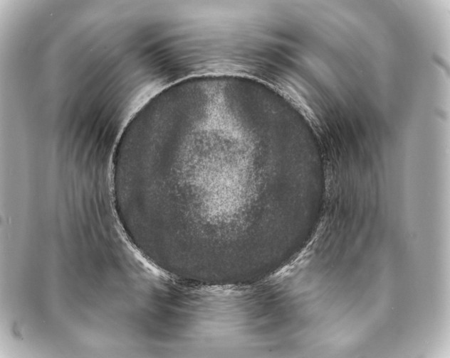 X0000094960990200712201156