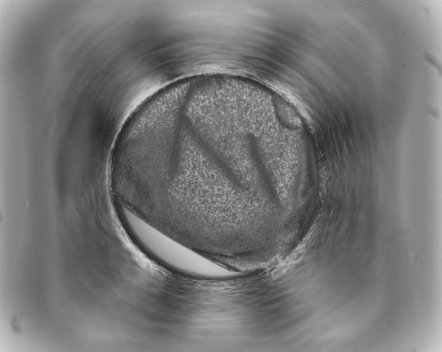 X0000094960991200712201156