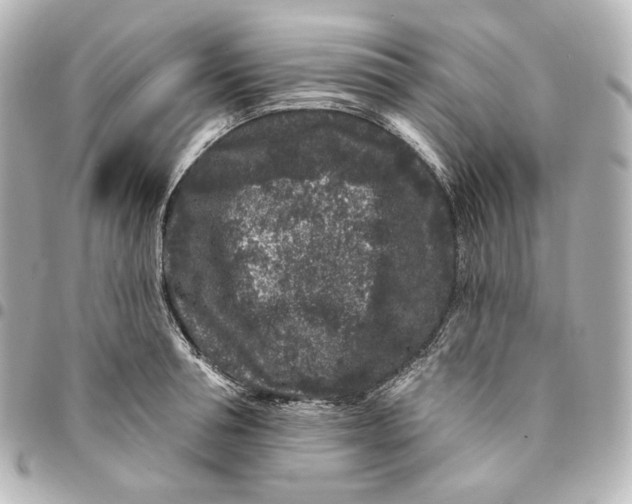 X0000094960994200712201156