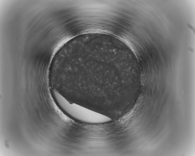 X0000094960995200712201156