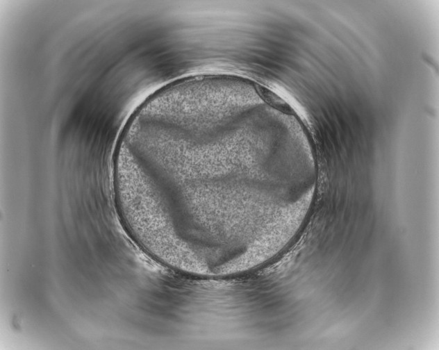 X0000094960996200712201156