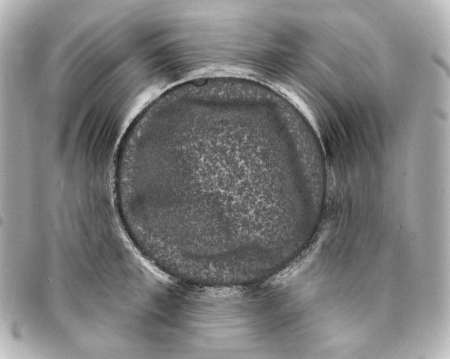 X0000094960997200712201156