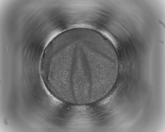 X0000094960999200712201156