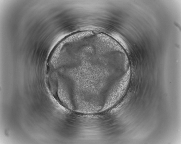 X0000094961000200712201156