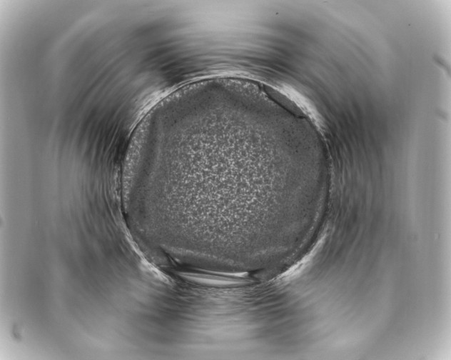 X0000094961001200712201156