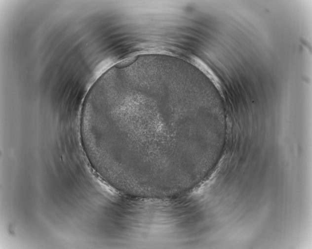 X0000094961002200712201156