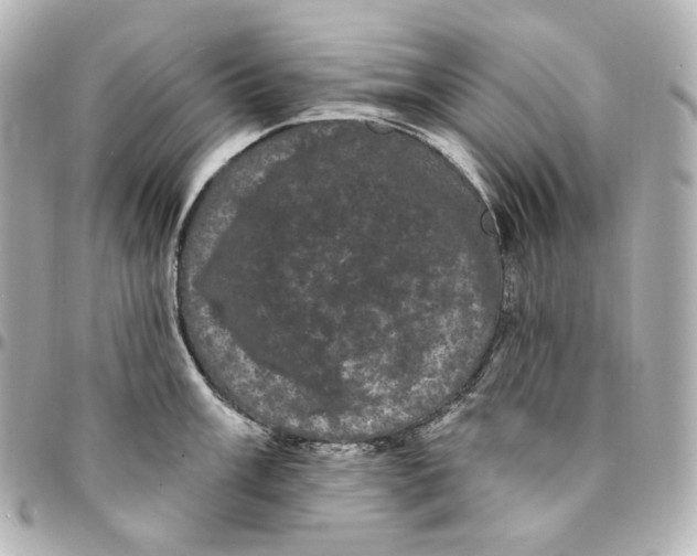 X0000094961003200712201156