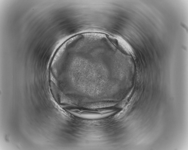 X0000094961004200712201156