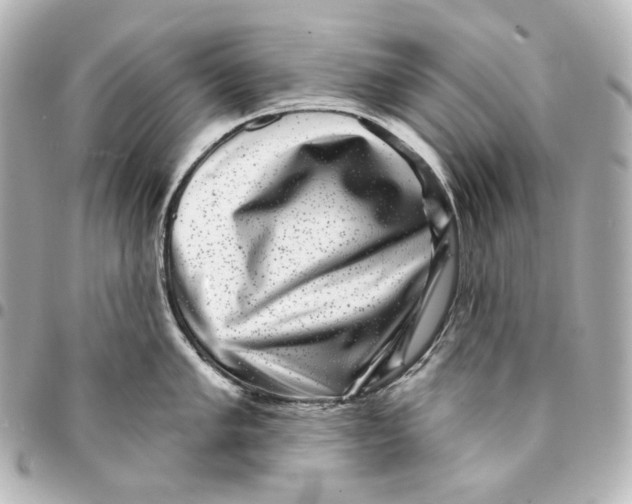 X0000094961005200712201156