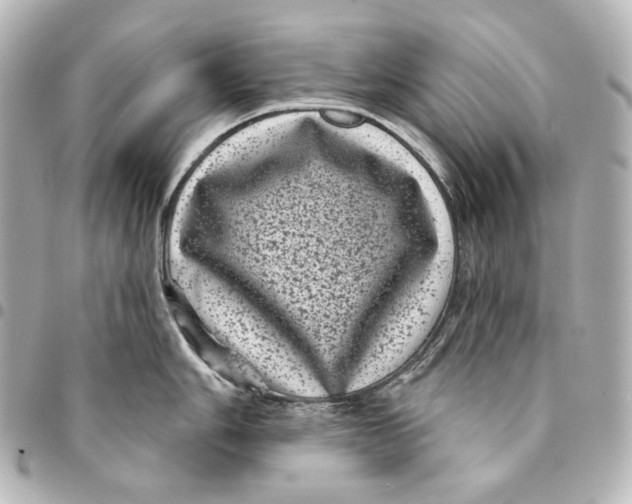 X0000094961006200712201156