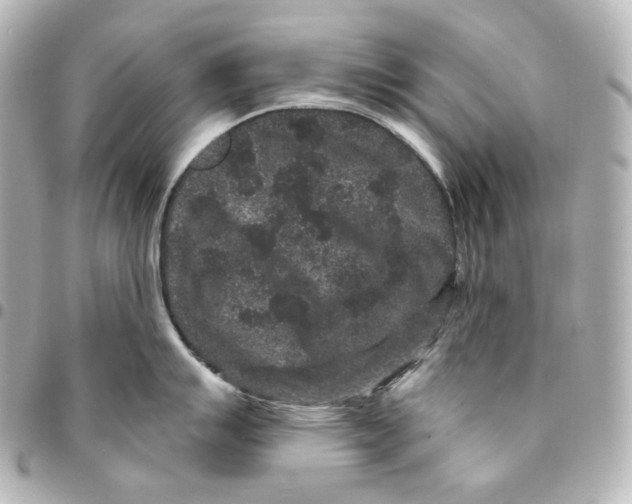 X0000094961007200712201156