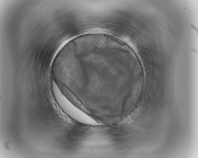 X0000094961008200712201156