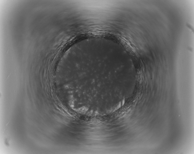 X0000094961009200712201155