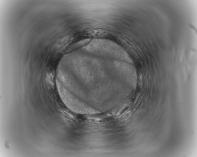 X0000094961010200712201155