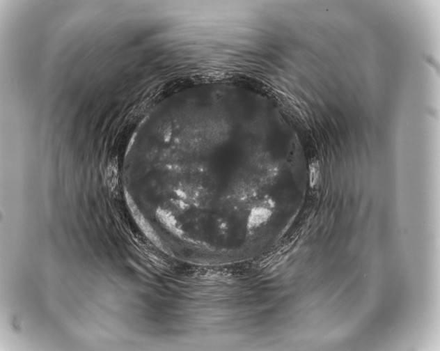 X0000094961011200712201155