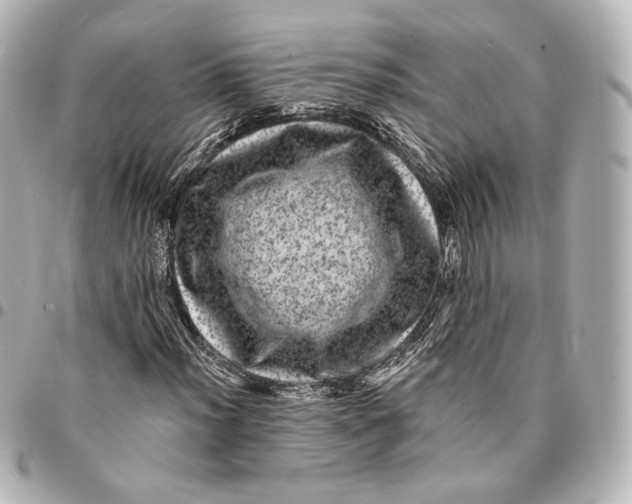 X0000094961012200712201155