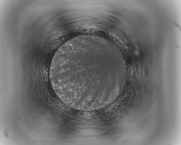 X0000094961013200712201155