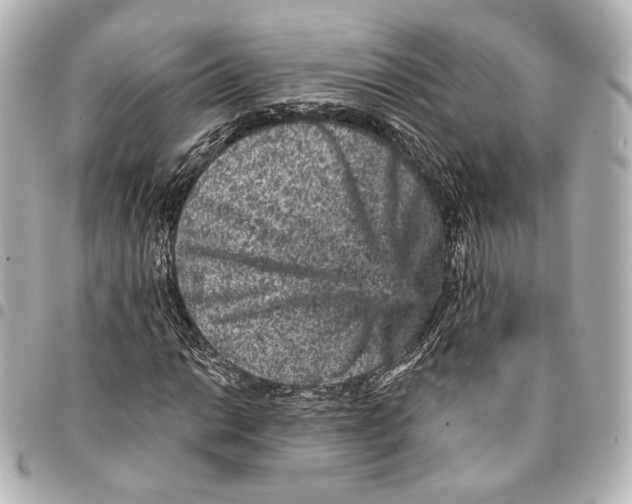 X0000094961014200712201155