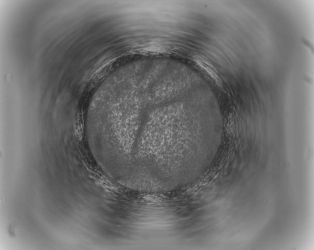 X0000094961015200712201155