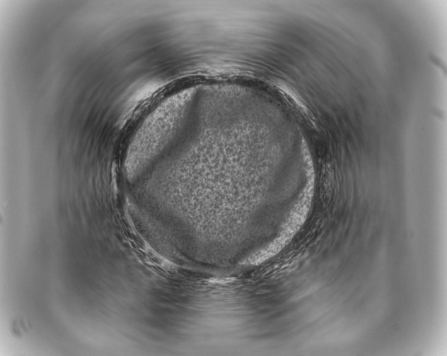 X0000094961016200712201155