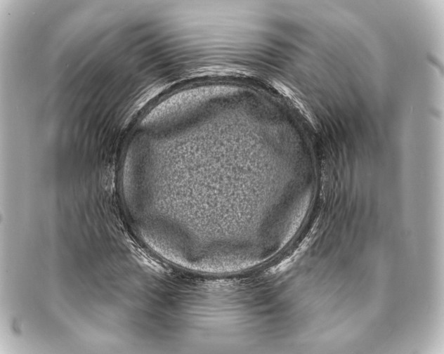 X0000094961017200712201156