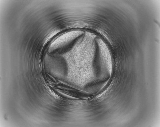 X0000094961018200712201156