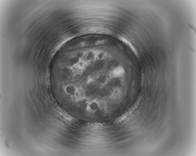 X0000094961019200712201156