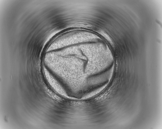 X0000094961020200712201156