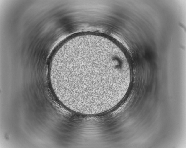 X0000094961021200712201156