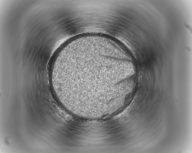 X0000094961022200712201156