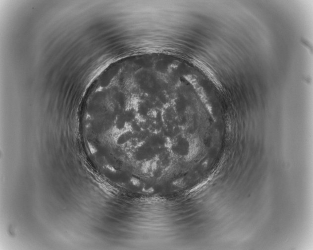 X0000094961023200712201156