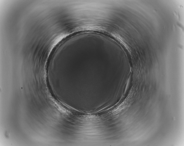 X0000094961024200712201156