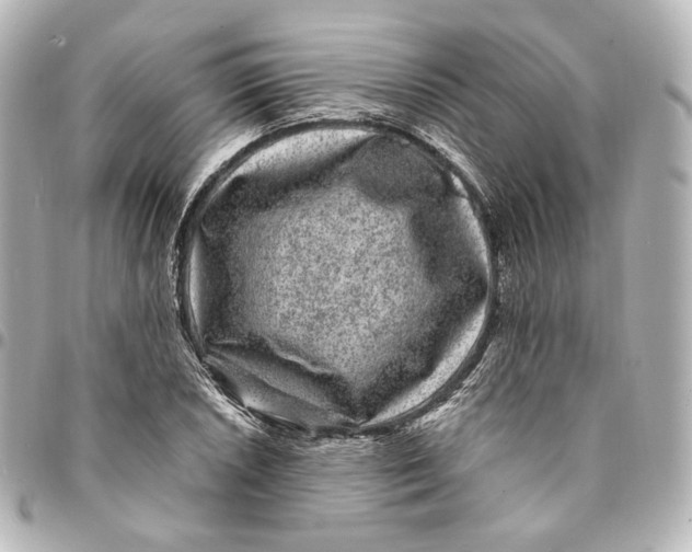 X0000094961026200712201156