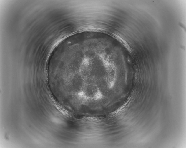 X0000094961027200712201156