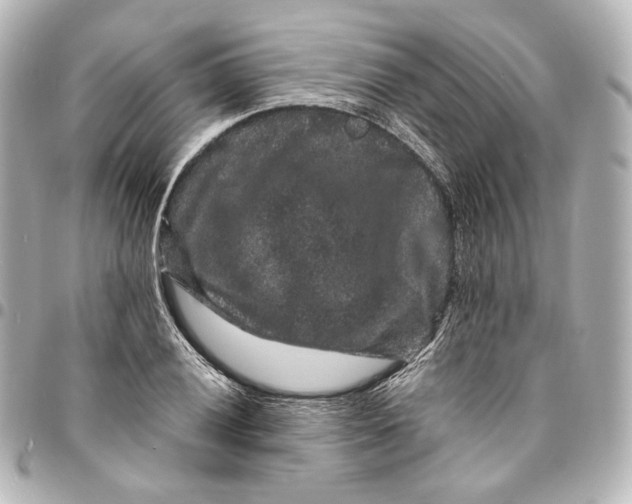 X0000094961028200712201156