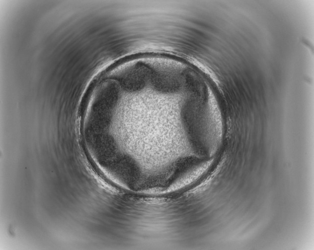 X0000094961029200712201156