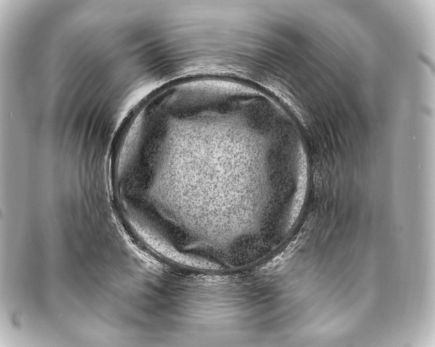 X0000094961030200712201156