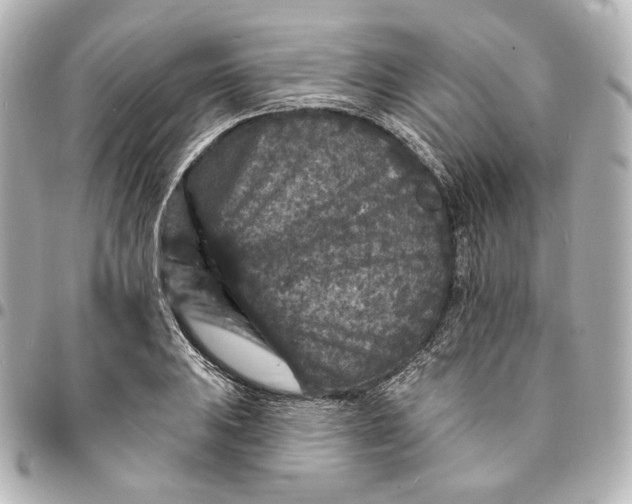 X0000094961031200712201156