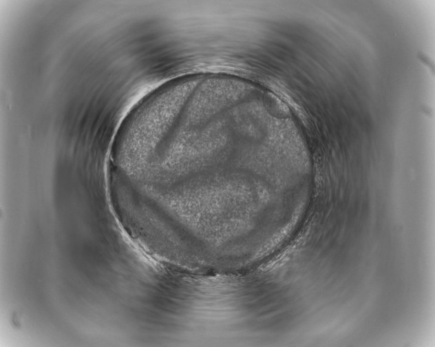 X0000094961032200712201156