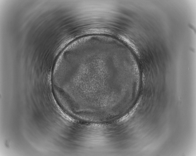 X0000094961033200712201156